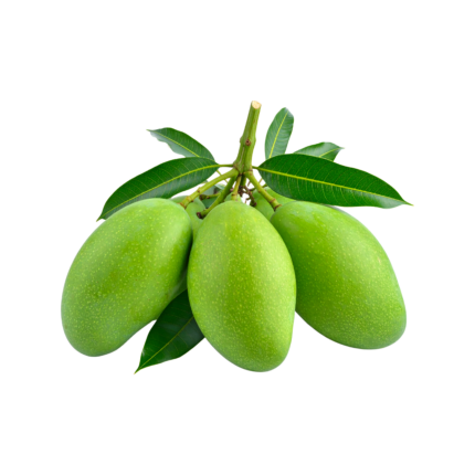 Gopalbhog Mango